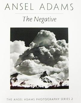 The NegativePDF电子书下载
