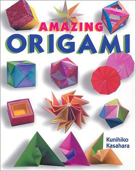 Amazing OrigamiPDF电子书下载