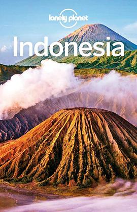 Lonely Planet Indonesia (11th Edition)