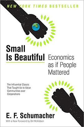 Small Is BeautifulPDF电子书下载