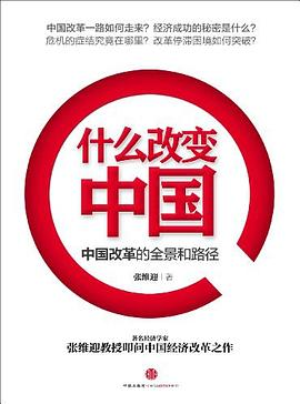 什么改变中国PDF电子书下载