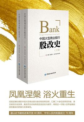 中国大型商业银行股改史PDF电子书下载