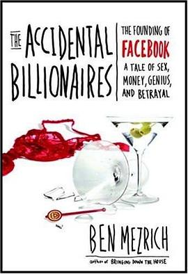 The Accidental BillionairesPDF电子书下载
