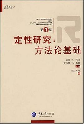 定性研究（第1卷）：方法论基础PDF电子书下载