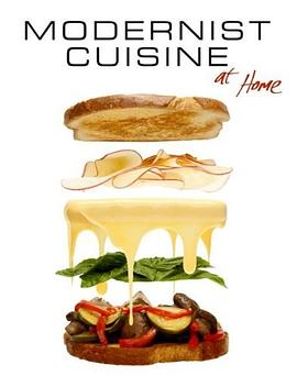 Modernist Cuisine at HomePDF电子书下载