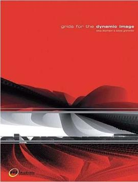 Grids for the Dynamic Image