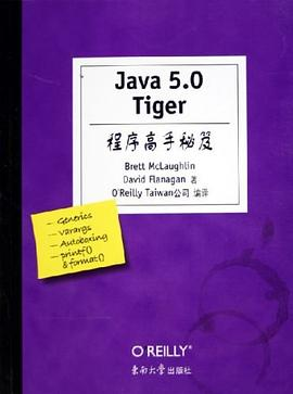 Java5.0Tiger程序高手秘笈PDF电子书下载