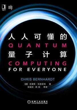 人人可懂的量子计算PDF电子书下载